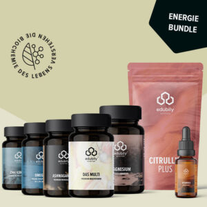 Edubily Energie-Bundle